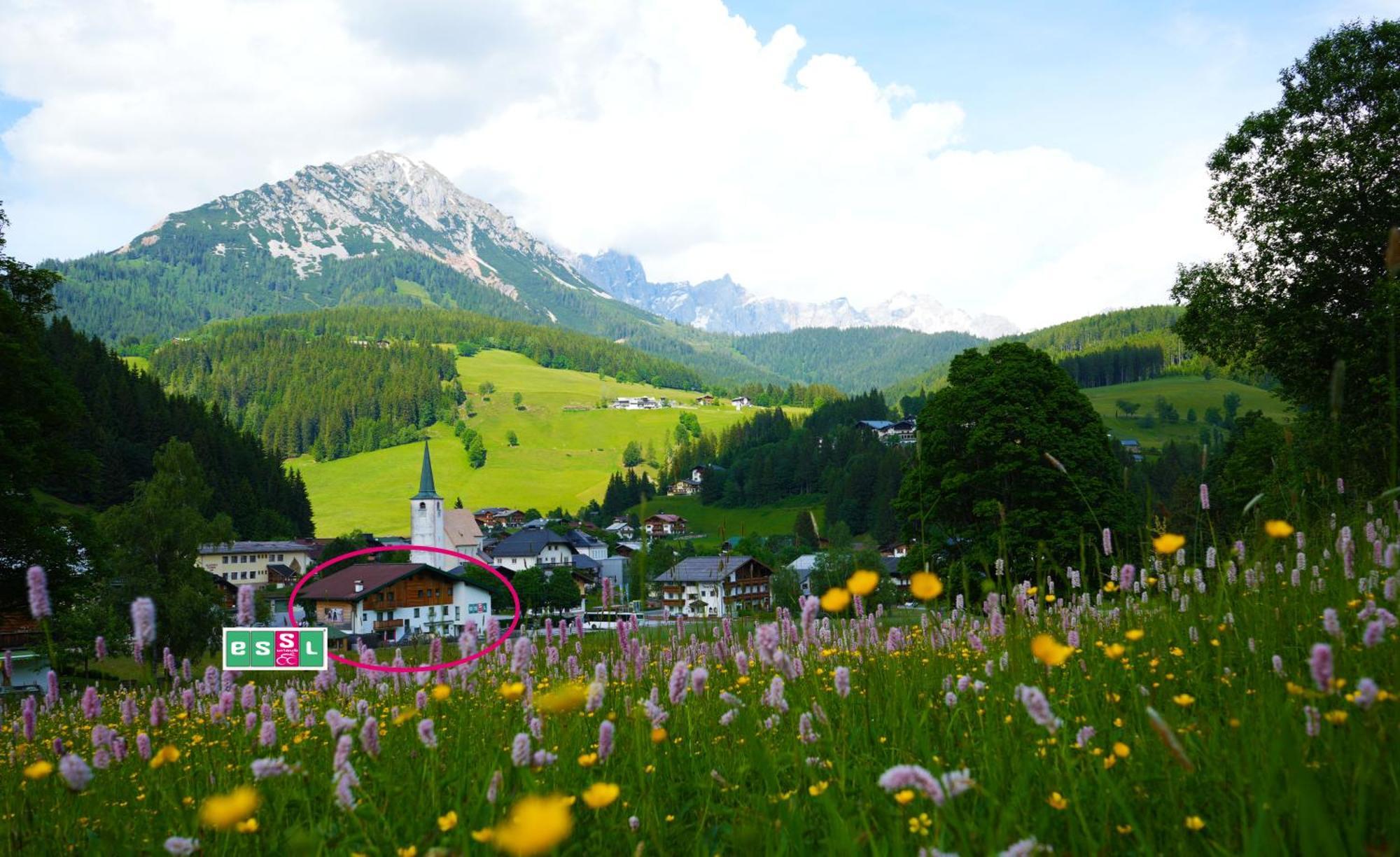Essl In Gasthof